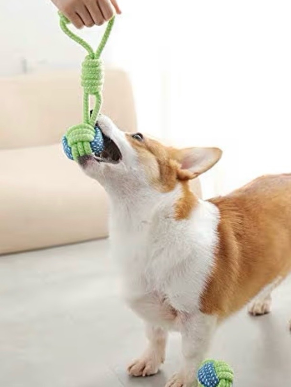 🐶 Interactive Green and Blue Dog Tug Toy